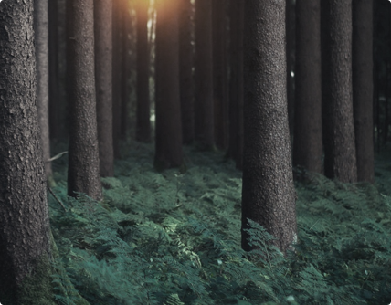 北京國際漿紙交易中心