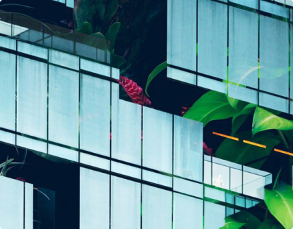 石家莊金環建設集團有限公司