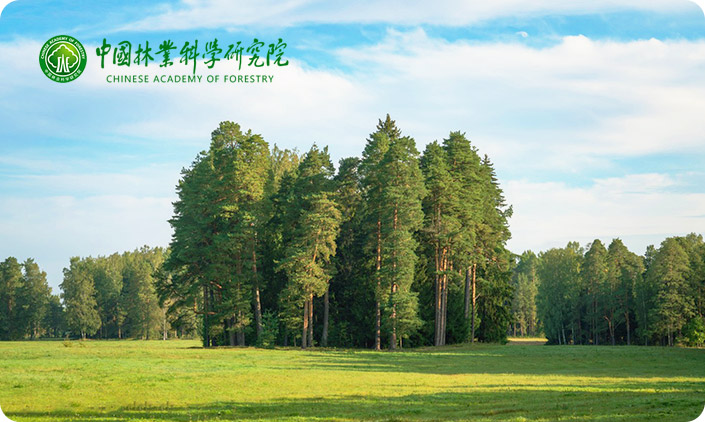 中國林業(yè)科學研究院